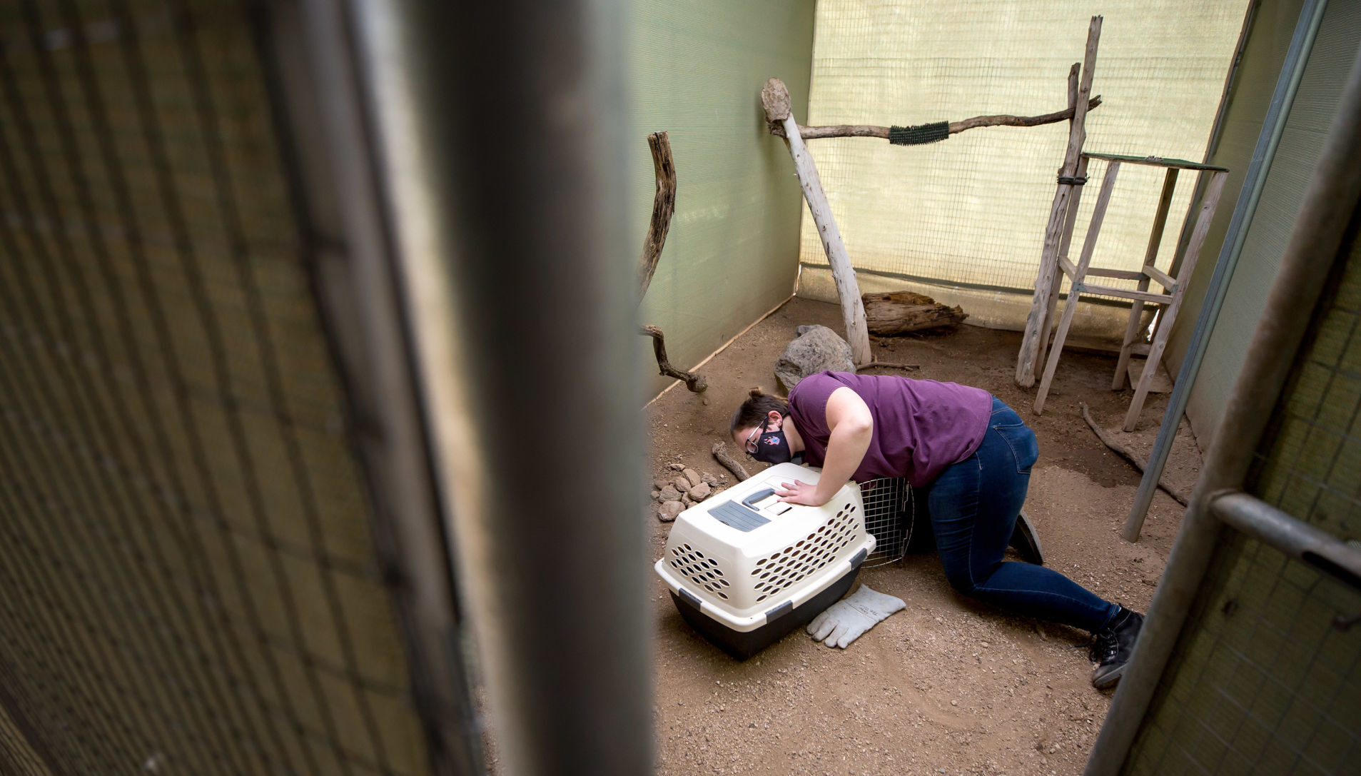 Tucson Wildlife Center